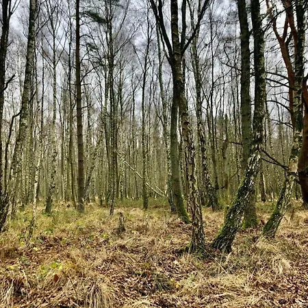 Strandburg Backbord Comfortable Nyaraló *